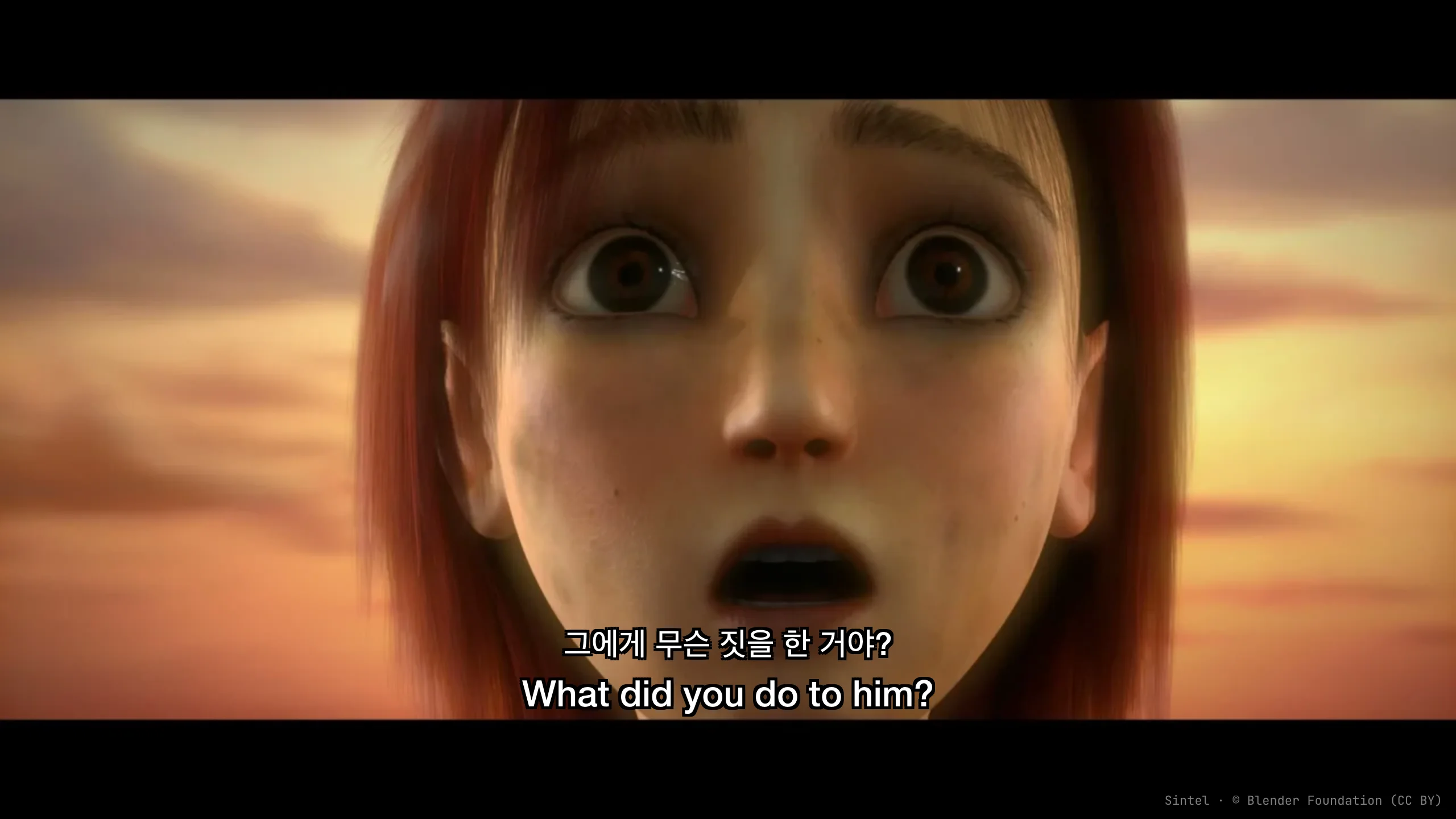 Translated SRT subtitle cues displayed in a media player with original timing intact